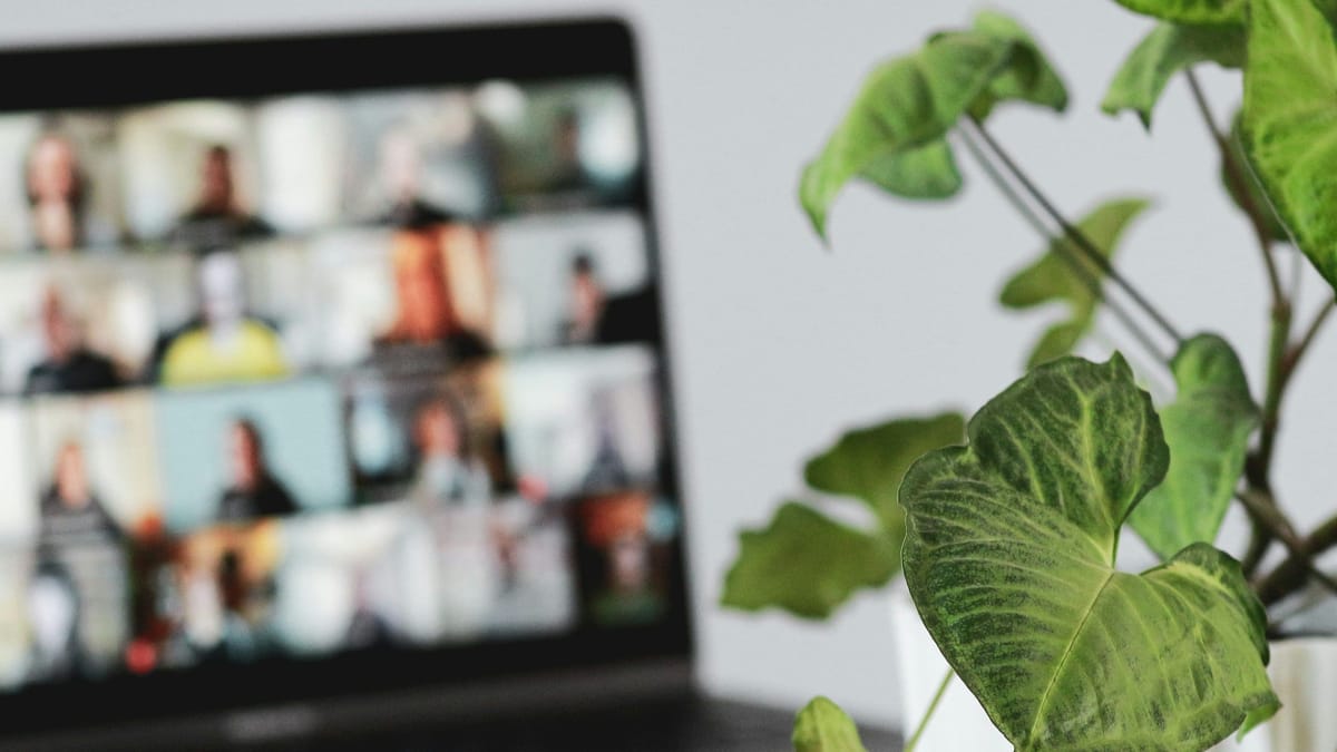 Cloverleaf raises $7.3 million to advance workplace coaching platform